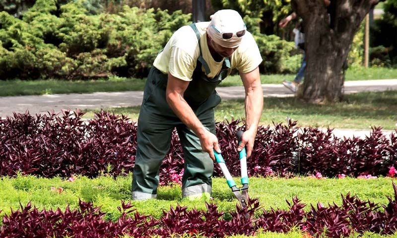 Artisan paysagiste - Jardinier